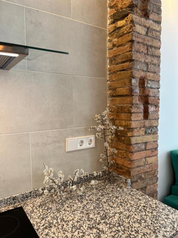 Ferienwohnung Cal Lleuger Guardiola de Berga Exterior foto