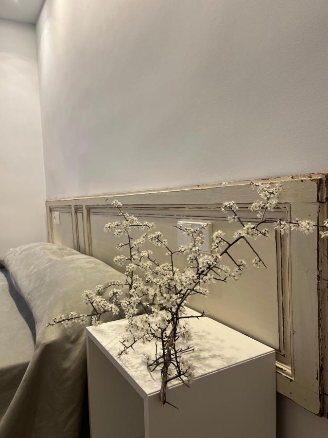 Ferienwohnung Cal Lleuger Guardiola de Berga Exterior foto